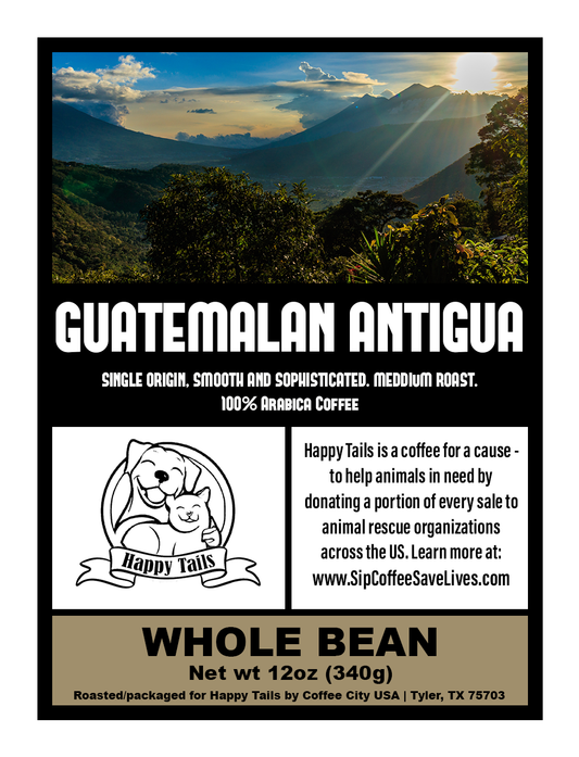 Guatemalan Antigua